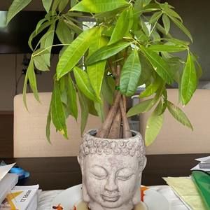 Meet your Posher, Claudia